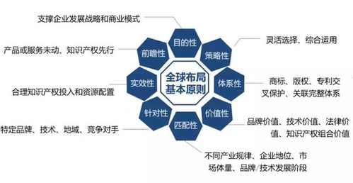 中细软再次走进清华校园 探讨企业全球知识产权布局之道