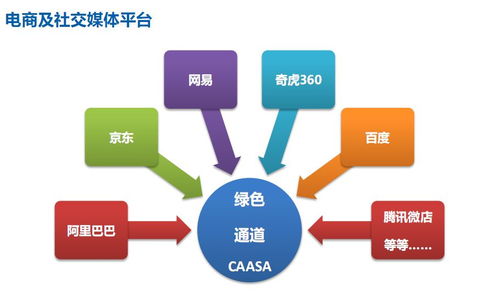 掌握知识产权保护策略 提升企业核心竞争力