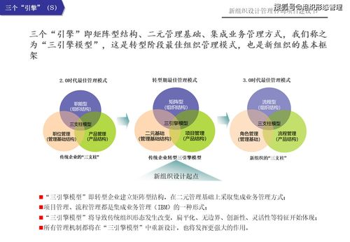 新组织设计管理咨询项目建议书