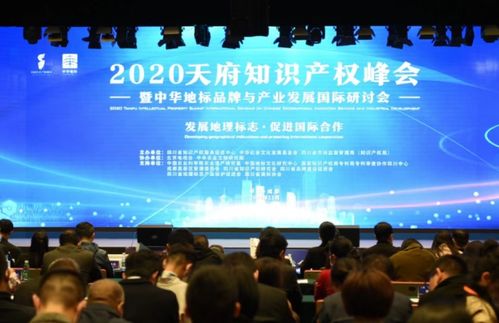 2020天府知识产权峰会在蓉举行